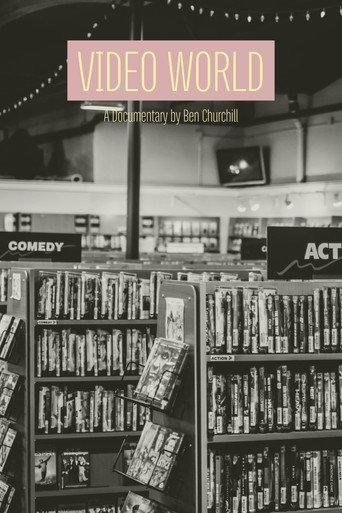 Video World (2013) poster