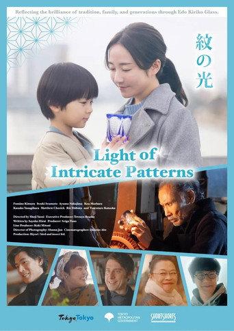 Light of Intricate Patterns (2024) poster
