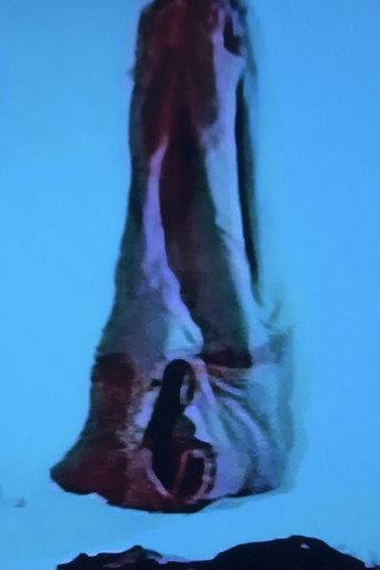 Crisalide (1973) poster