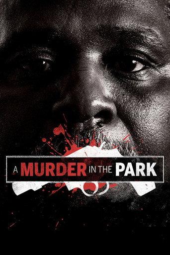 A Murder in the Park (2015) poster