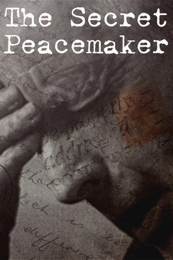 The Secret Peacemaker (2023) poster