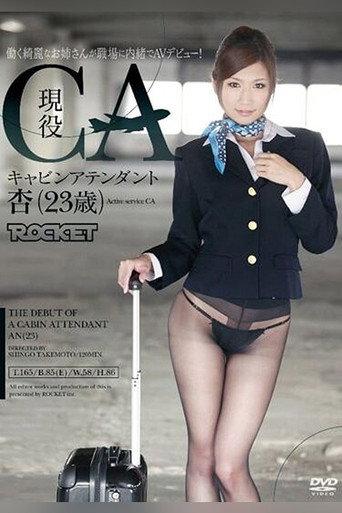 RCT-369 Active Flight Attendant An (age 23) (2012) poster