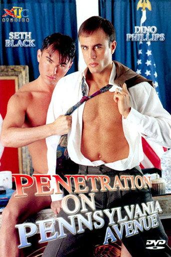 Penetration on Pennsylvania Avenue (1998) poster
