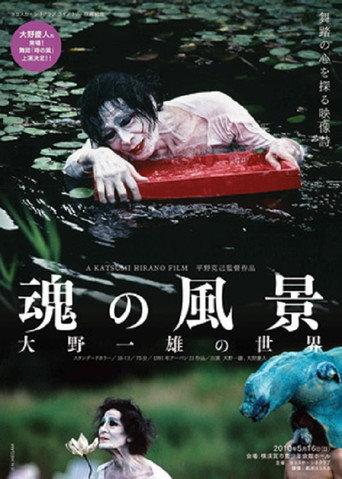 The Scene of the Soul (1991) poster