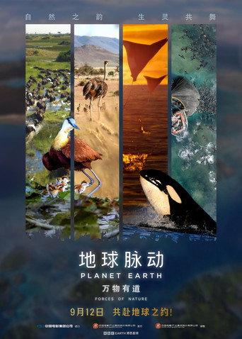 Planet Earth: Forces of Nature (2025) poster