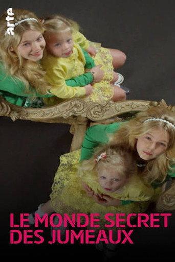 Secret Life of Twins (2015) poster