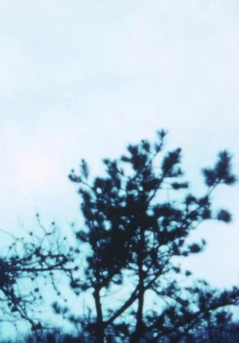Vineyard I (1967) poster