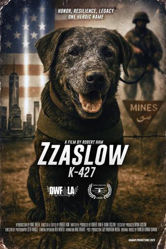 Zzaslow K-427 (2025) poster