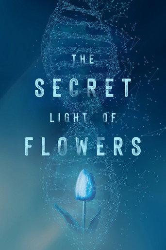 The Secret Light of Flowers (2023) poster