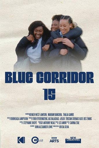 Blue Corridor 15 () poster