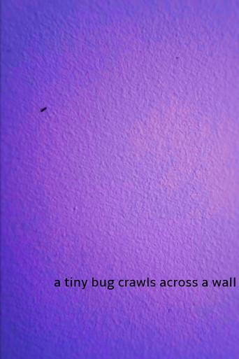 a tiny bug crawls across a wall (2024) poster