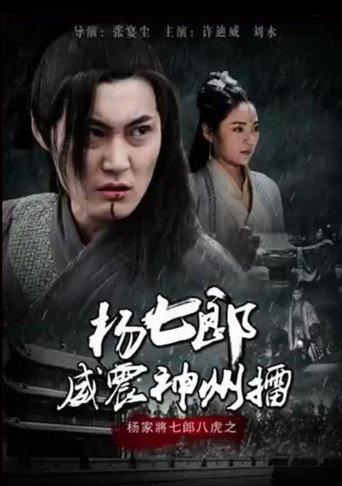 杨七郎威震神州擂 (2017) poster