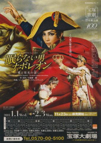 Napoléon, the Man Who Never Sleeps ~At the End of His Love and Glory~ (2014) poster