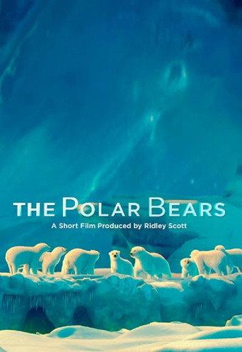 The Polar Bears (2012) poster