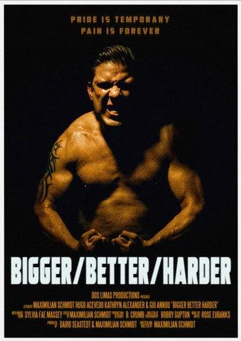 Bigger/Better/Harder () poster