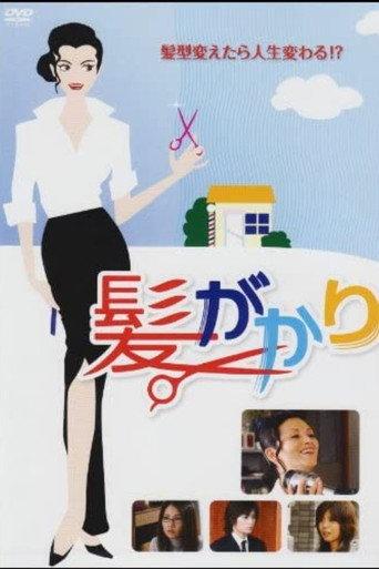 Hair Brush (2008) poster