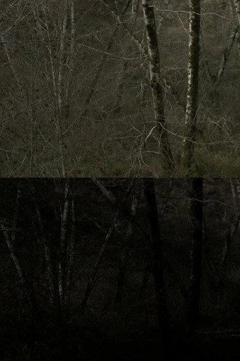 SWANTON ROAD () poster