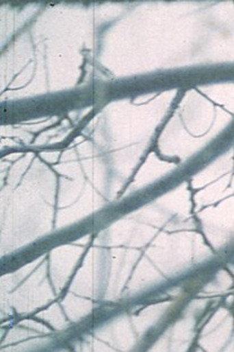 Wintergarden. Hudson River Diary Book: III (1973) poster