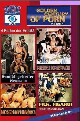 Golden Century of Porn (2009) poster