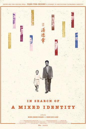 In Search of a Mixed Identity (2024) poster