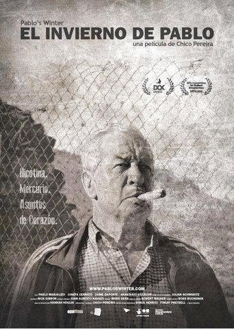Pablo's Winter (2012) poster