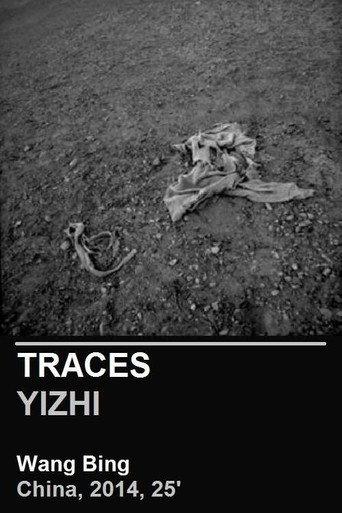 Traces (2014) poster