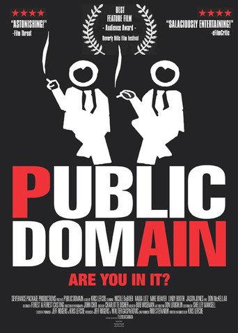 Public Domain (2003) poster