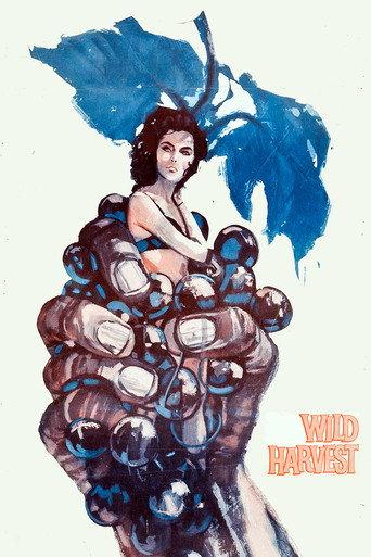 Wild Harvest (1962) poster