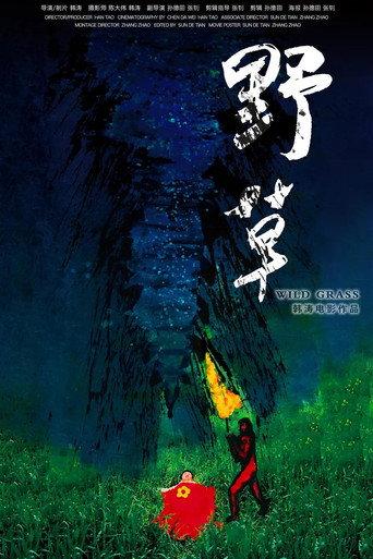 WILD GRASS (2017) poster