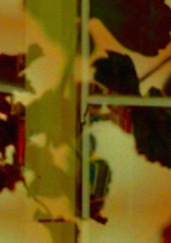 David (2008) poster