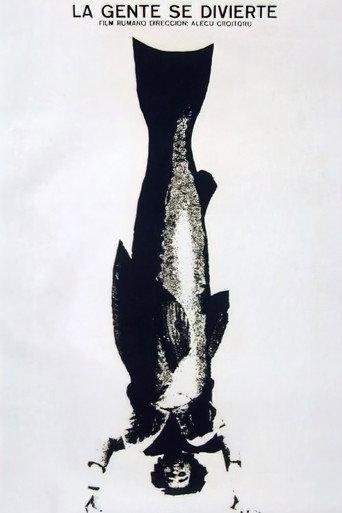 You Look Wild (1965) poster