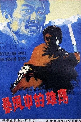 暴风中的雄鹰 (1957) poster