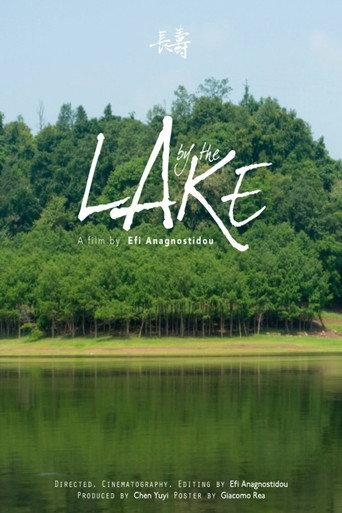 By the lake () poster