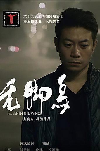 无脚鸟 (2015) poster