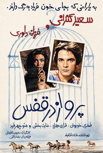 Flying in a Cage (1980) poster