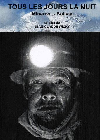 Every Day is Night (2010) poster