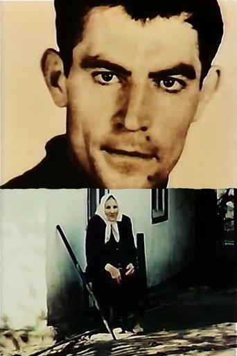 Come back to me, my memory (1992) poster
