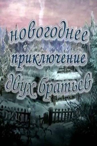 New Year's Adventure of Two Brothers (2004) poster