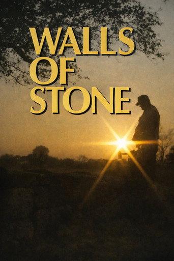 Walls of Stone: How to Build Drystone Walls and Rock Fences () poster