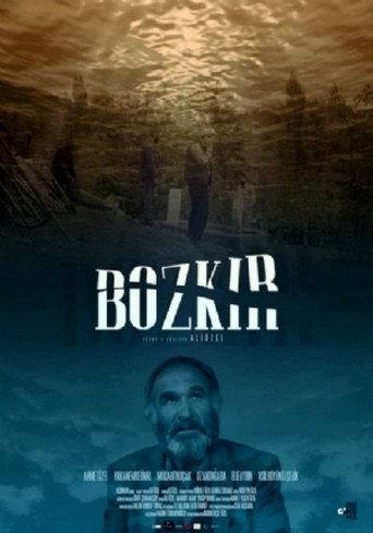 Steppe (2019) poster