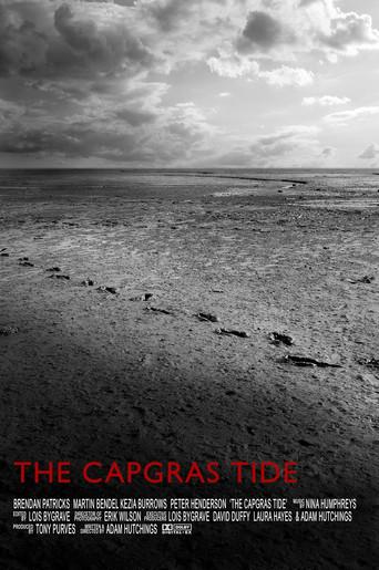 The Capgras Tide (2009) poster