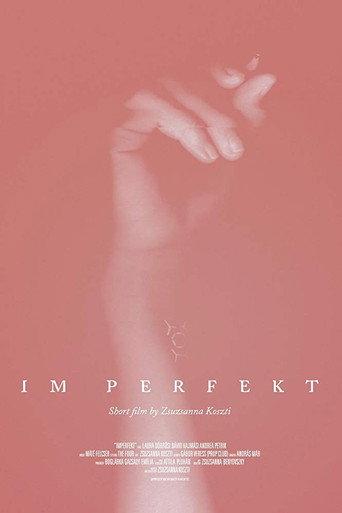 IM Perfekt () poster