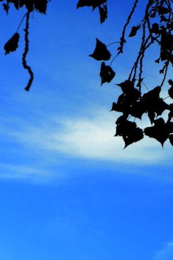 Haikus 1: Our Government, and the Sky (2025) poster