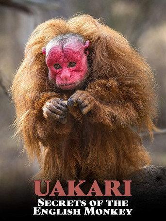 Uakari: Secrets of the English Monkey (2008) poster