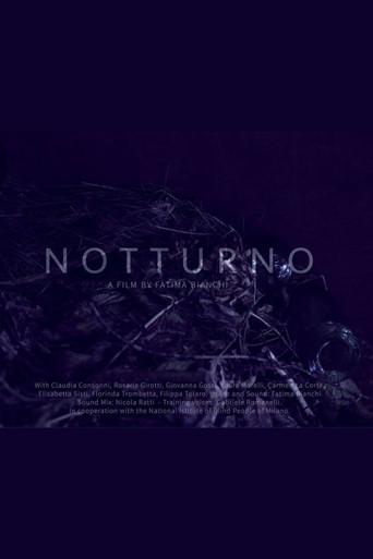 Notturno (2016) poster