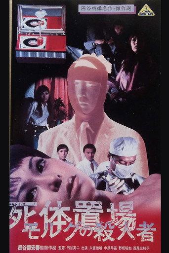 The Morgue Murderer (1973) poster