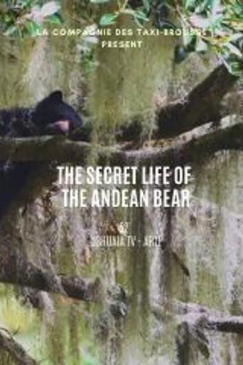 La vie secrète de l’ours à lunettes (2020) poster