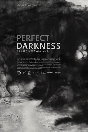 Perfect Darkness (2016) poster