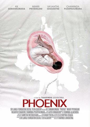 Phoenix (2017) poster