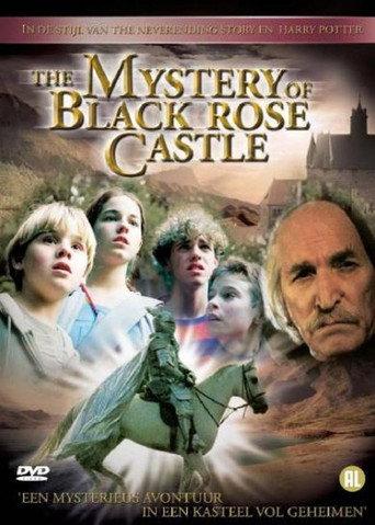 The Mystery of Black Rose Castle () poster